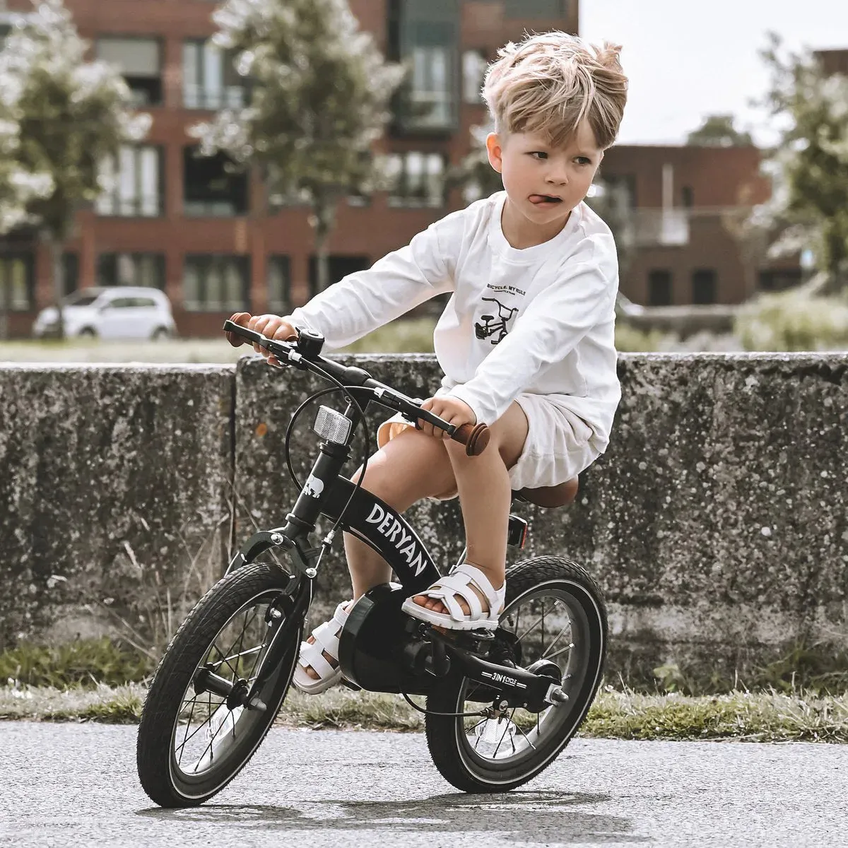 Bicicleta de lujo para niños 14 pulgadas - 3 en 1 - bicicleta de paseo Negro - Image 8