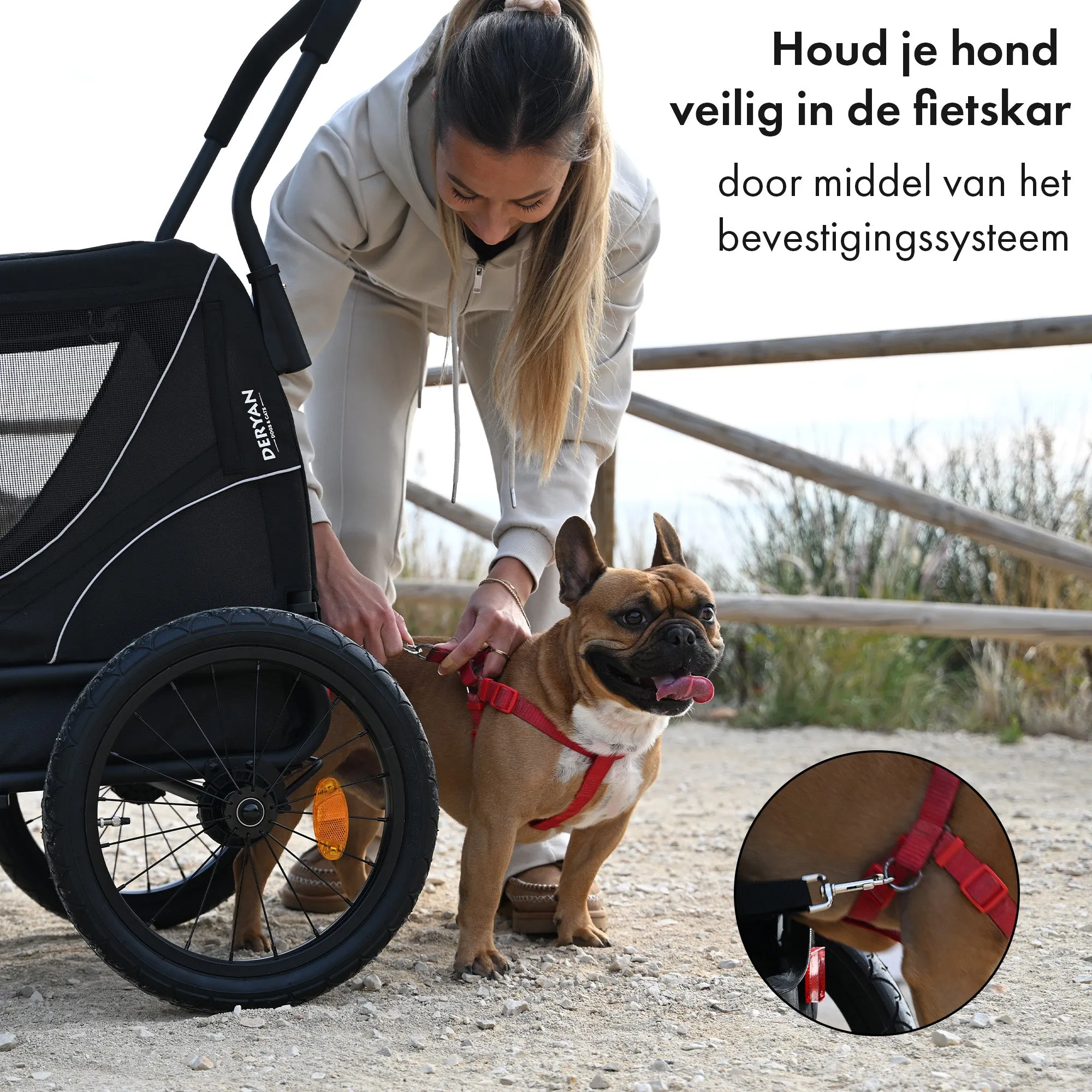 Carrito de bicicleta para perros 2 en 1 - Plegable - Hasta 20 kg - Apto para bicicletas eléctricas - Image 7