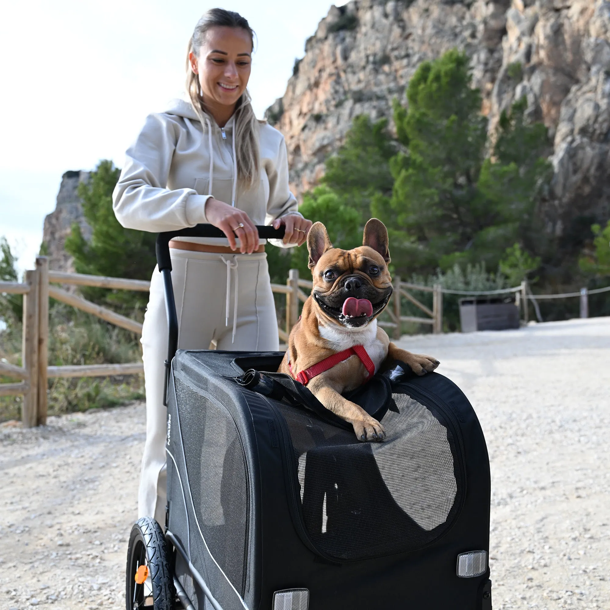 Carrito de bicicleta para perros 2 en 1 - Plegable - Hasta 20 kg - Apto para bicicletas eléctricas - Image 8